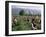 Rose Festival, Bulgaria-Adam Woolfitt-Framed Photographic Print