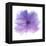 Rose Flower (Rosa Sp.)-Cristina-Framed Premier Image Canvas