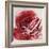 Rose For Warhol-Jodi Maas-Framed Giclee Print