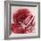 Rose For Warhol-Jodi Maas-Framed Giclee Print