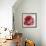 Rose For Warhol-Jodi Maas-Framed Giclee Print displayed on a wall