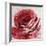 Rose For Warhol-Jodi Maas-Framed Giclee Print