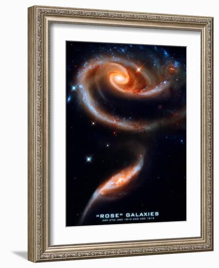 Rose Galaxies Hubble Space Photo Poster Print-null-Framed Premium Giclee Print