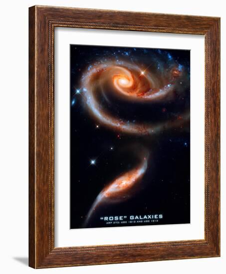 Rose Galaxies Hubble Space Photo Poster Print-null-Framed Premium Giclee Print