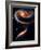 Rose Galaxies Hubble Space Photo Poster Print-null-Framed Premium Giclee Print