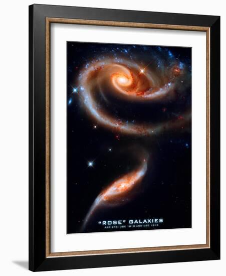 Rose Galaxies Hubble Space Photo Poster Print-null-Framed Premium Giclee Print