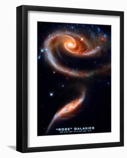 Rose Galaxies Hubble Space Photo Poster Print-null-Framed Premium Giclee Print