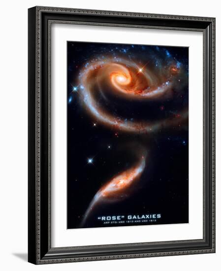 Rose Galaxies Hubble Space Photo Poster Print-null-Framed Premium Giclee Print