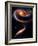 Rose Galaxies Hubble Space Photo Poster Print-null-Framed Premium Giclee Print