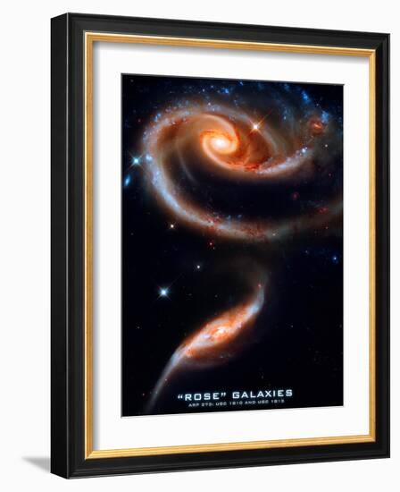 Rose Galaxies Hubble Space Photo Poster Print-null-Framed Premium Giclee Print