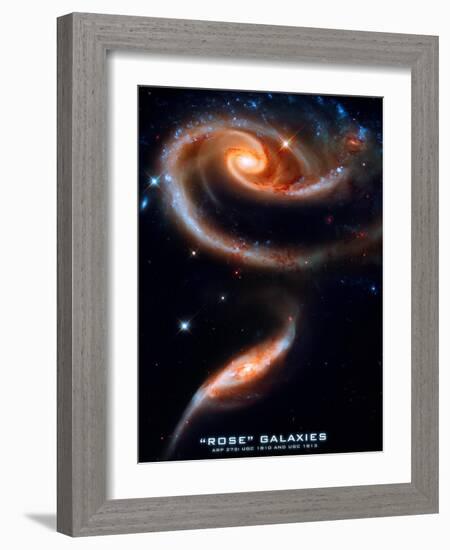 Rose Galaxies Hubble Space Photo Poster Print-null-Framed Art Print