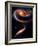 Rose Galaxies Hubble Space Photo Poster Print-null-Framed Art Print