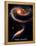 Rose Galaxies Hubble Space Photo Poster Print-null-Framed Stretched Canvas