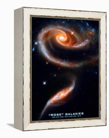 Rose Galaxies Hubble Space Photo Poster Print-null-Framed Stretched Canvas