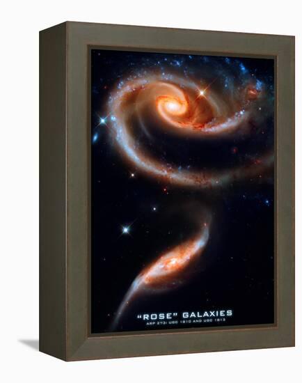 Rose Galaxies Hubble Space Photo Poster Print-null-Framed Stretched Canvas