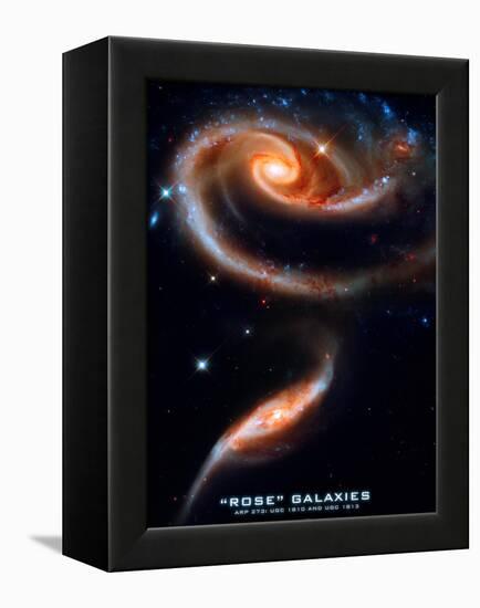 Rose Galaxies Hubble Space Photo Poster Print-null-Framed Stretched Canvas