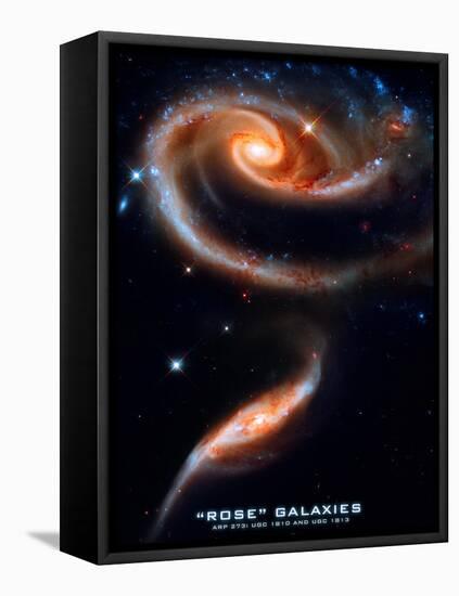 Rose Galaxies Hubble Space Photo Poster Print-null-Framed Stretched Canvas