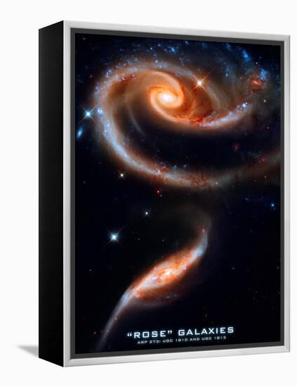 Rose Galaxies Hubble Space Photo Poster Print-null-Framed Stretched Canvas