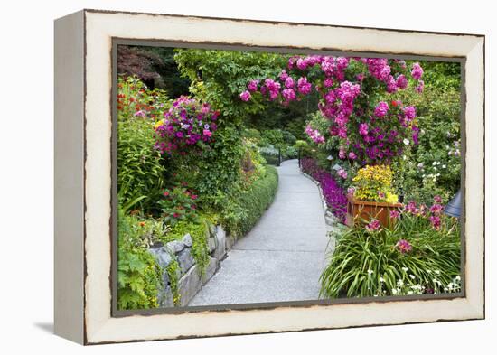 Rose Garden at Butchard Gardens in Full Bloom, Victoria, British Columbia, Canada-Terry Eggers-Framed Premier Image Canvas