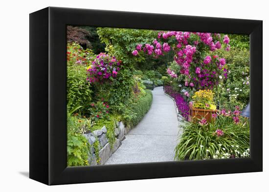 Rose Garden at Butchard Gardens in Full Bloom, Victoria, British Columbia, Canada-Terry Eggers-Framed Premier Image Canvas