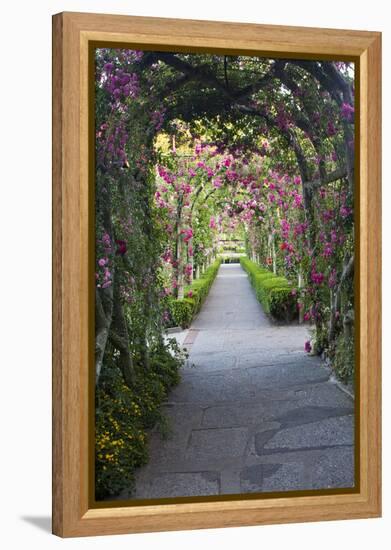 Rose Garden at Butchard Gardens in Full Bloom, Victoria, British Columbia, Canada-Terry Eggers-Framed Premier Image Canvas