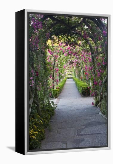 Rose Garden at Butchard Gardens in Full Bloom, Victoria, British Columbia, Canada-Terry Eggers-Framed Premier Image Canvas