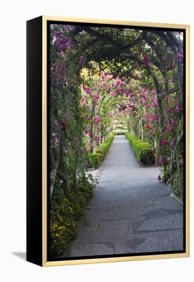 Rose Garden at Butchard Gardens in Full Bloom, Victoria, British Columbia, Canada-Terry Eggers-Framed Premier Image Canvas