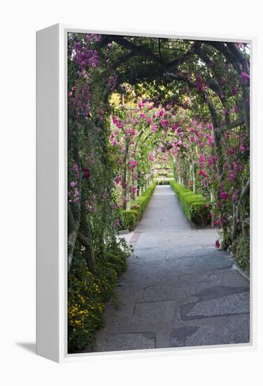 Rose Garden at Butchard Gardens in Full Bloom, Victoria, British Columbia, Canada-Terry Eggers-Framed Premier Image Canvas