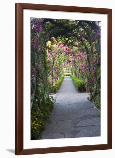 Rose Garden at Butchard Gardens in Full Bloom, Victoria, British Columbia, Canada-Terry Eggers-Framed Photographic Print