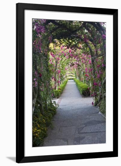 Rose Garden at Butchard Gardens in Full Bloom, Victoria, British Columbia, Canada-Terry Eggers-Framed Photographic Print