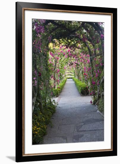 Rose Garden at Butchard Gardens in Full Bloom, Victoria, British Columbia, Canada-Terry Eggers-Framed Photographic Print