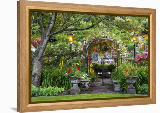 Rose Garden at Butchard Gardens in Full Bloom, Victoria, British Columbia, Canada-Terry Eggers-Framed Premier Image Canvas