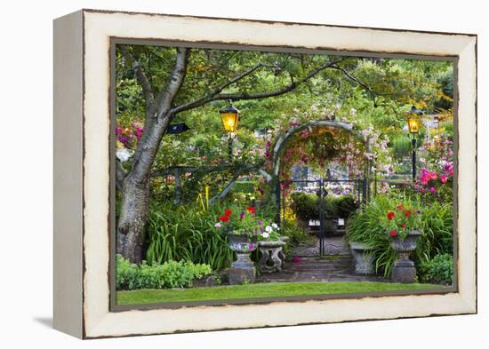 Rose Garden at Butchard Gardens in Full Bloom, Victoria, British Columbia, Canada-Terry Eggers-Framed Premier Image Canvas