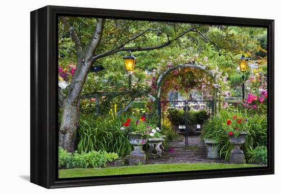 Rose Garden at Butchard Gardens in Full Bloom, Victoria, British Columbia, Canada-Terry Eggers-Framed Premier Image Canvas