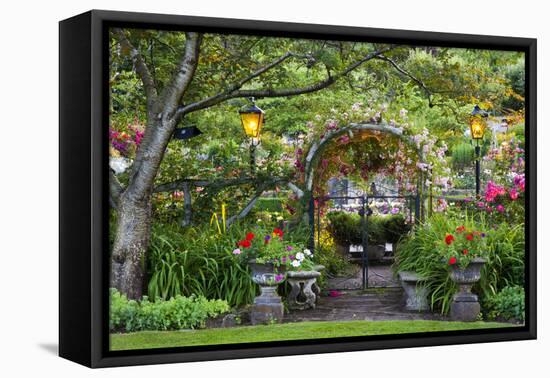 Rose Garden at Butchard Gardens in Full Bloom, Victoria, British Columbia, Canada-Terry Eggers-Framed Premier Image Canvas