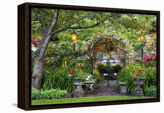 Rose Garden at Butchard Gardens in Full Bloom, Victoria, British Columbia, Canada-Terry Eggers-Framed Premier Image Canvas