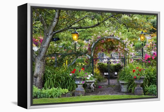 Rose Garden at Butchard Gardens in Full Bloom, Victoria, British Columbia, Canada-Terry Eggers-Framed Premier Image Canvas