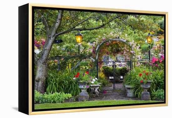 Rose Garden at Butchard Gardens in Full Bloom, Victoria, British Columbia, Canada-Terry Eggers-Framed Premier Image Canvas