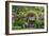 Rose Garden at Butchard Gardens in Full Bloom, Victoria, British Columbia, Canada-Terry Eggers-Framed Photographic Print