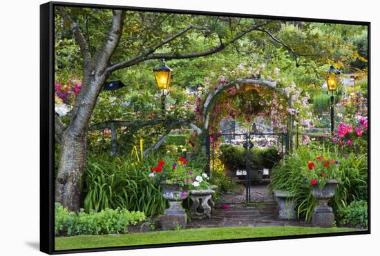 Rose Garden at Butchard Gardens in Full Bloom, Victoria, British Columbia, Canada-Terry Eggers-Framed Premier Image Canvas