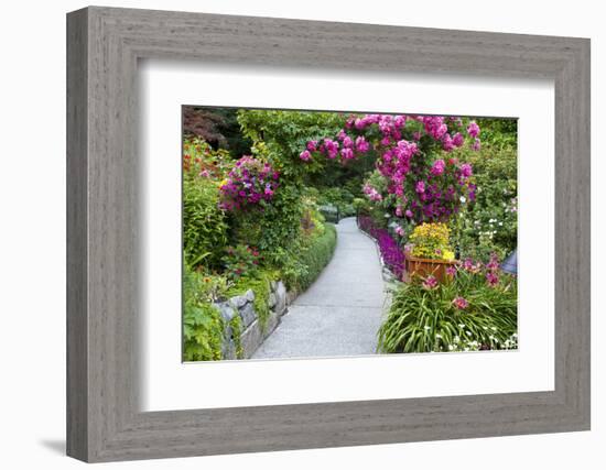 Rose Garden at Butchard Gardens in Full Bloom, Victoria, British Columbia, Canada-Terry Eggers-Framed Photographic Print