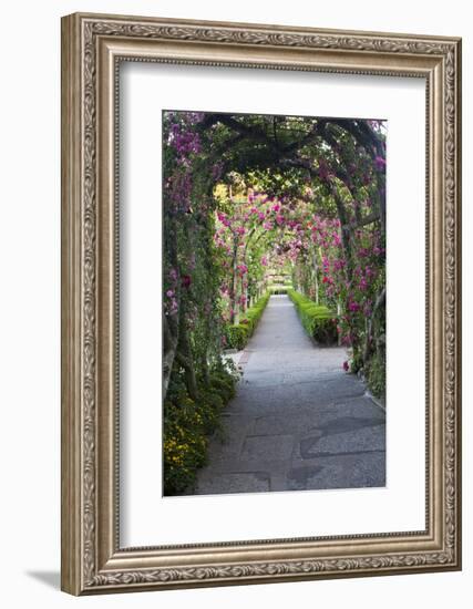 Rose Garden at Butchard Gardens in Full Bloom, Victoria, British Columbia, Canada-Terry Eggers-Framed Photographic Print