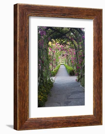 Rose Garden at Butchard Gardens in Full Bloom, Victoria, British Columbia, Canada-Terry Eggers-Framed Photographic Print