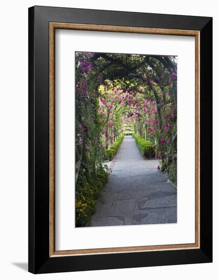 Rose Garden at Butchard Gardens in Full Bloom, Victoria, British Columbia, Canada-Terry Eggers-Framed Photographic Print