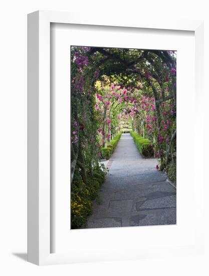 Rose Garden at Butchard Gardens in Full Bloom, Victoria, British Columbia, Canada-Terry Eggers-Framed Photographic Print