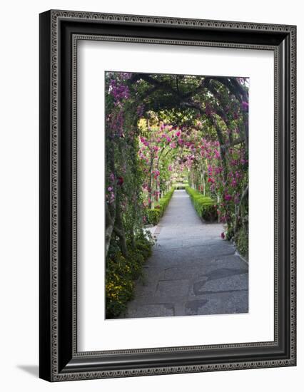 Rose Garden at Butchard Gardens in Full Bloom, Victoria, British Columbia, Canada-Terry Eggers-Framed Photographic Print