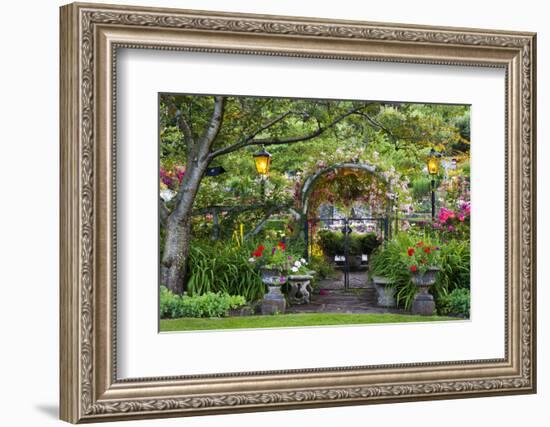 Rose Garden at Butchard Gardens in Full Bloom, Victoria, British Columbia, Canada-Terry Eggers-Framed Photographic Print