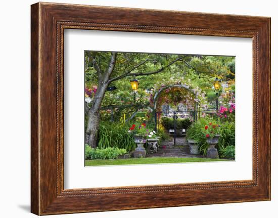 Rose Garden at Butchard Gardens in Full Bloom, Victoria, British Columbia, Canada-Terry Eggers-Framed Photographic Print