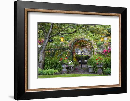 Rose Garden at Butchard Gardens in Full Bloom, Victoria, British Columbia, Canada-Terry Eggers-Framed Photographic Print