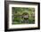 Rose Garden at Butchard Gardens in Full Bloom, Victoria, British Columbia, Canada-Terry Eggers-Framed Photographic Print